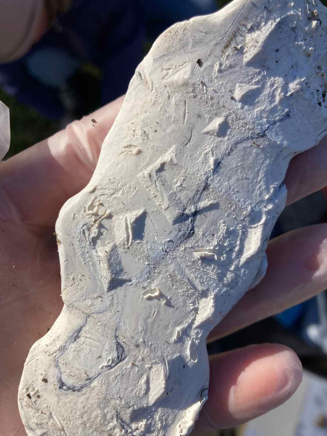 Stadtstempel in Leipzig-Gohlis